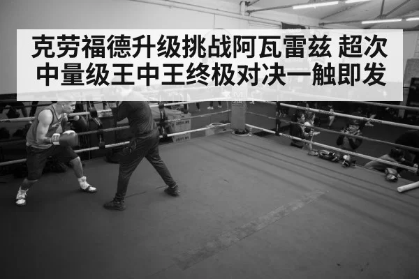 boxer training gym